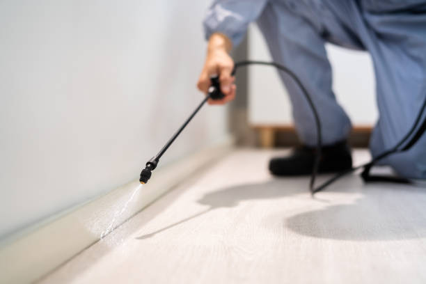 Licensed Rodent Control service in Cabarrus County County, NC - Nex Pest Control