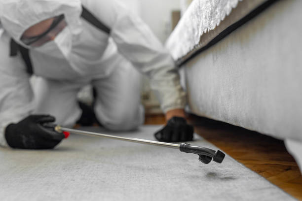 Professional Rodent Control technician working in Cabarrus County County, NC